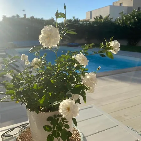 Isabella Blue البوفيرا
